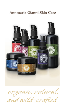 Annmarie Gianni Skin Care Annmarie Gianni Skin Care