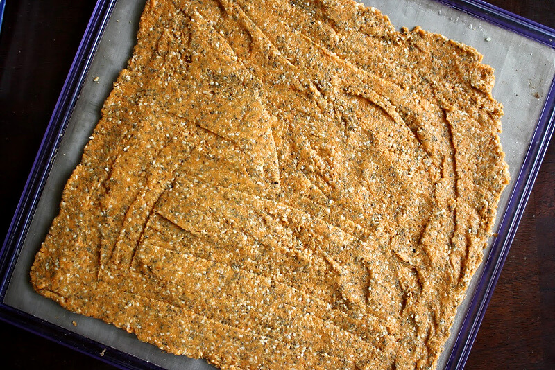Step 4 of How To Make Gluten-Free Vegan Raw Carrot Pulp and Flax Seed Crackers on an Excalibur Dehydrator tray