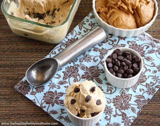 Vegan-Chocolate-Chip-Peanut-Butter-Ice-Cream