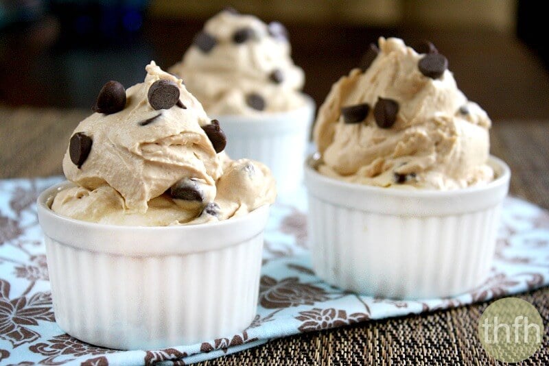 Vegan Chocolate Chip Peanut Butter Ice Cream | The Healthy Family and Home