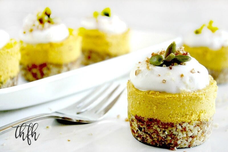 Close-up image of an individual Gluten-Free Vegan No-Bake Pumpkin Mini Cheesecakes with more scattered in the background