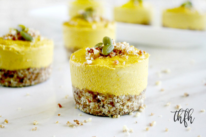 A close-up image of an individual Gluten-Free Vegan No-Bake Pumpkin Mini Cheesecake without homemade whipped coconut topping