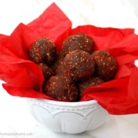 Clean Eating Goji Berry and Hazelnut Cacao Truffles - Raw, Vegan, Gluten-Free, Dairy-Free, Paleo-Friendly, No Refined Sugars | The Healthy Family and Home