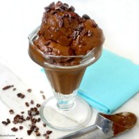 Cacao-Nib-and-Mint-Chocolate-Chip-Ice-Cream