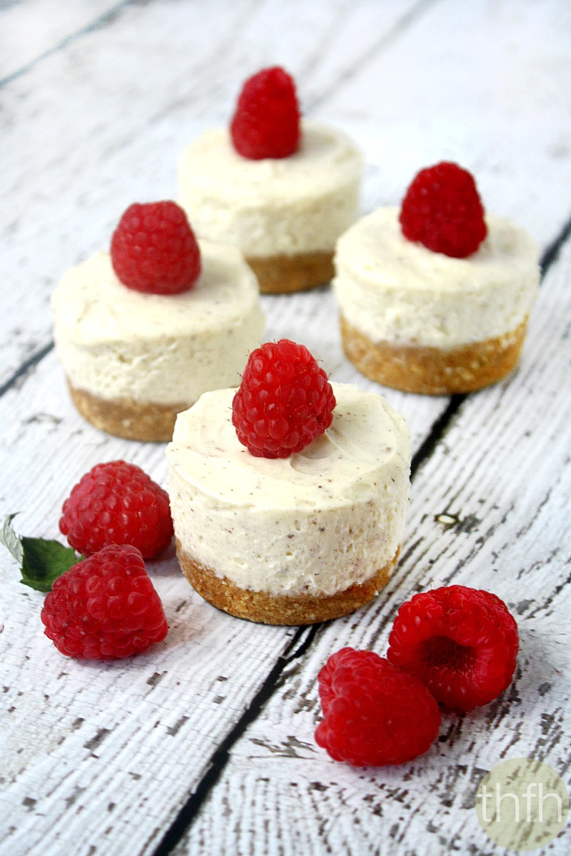 No-Bake Mini Cheesecakes (Low Carb + Low Sugar) Vegetarian | The Healthy Family and Home