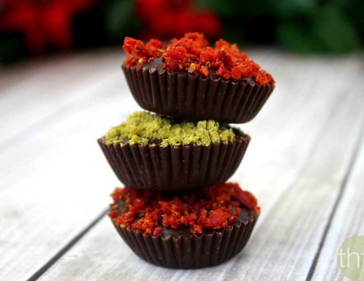 Dark Chocolate Cups with Pistachios and Goji Berries | Raw, Vegan, Gluten-Free, Dairy-Free, Paleo-Friendly, No Refined Sugars | The Healthy Family and Home