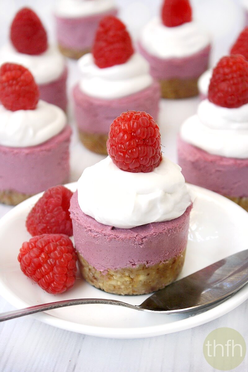 Raspberry Lemon Mini Cheesecakes The Healthy Family And Home Raspberry Lemon Mini Cheesecakes The Healthy Family And Home