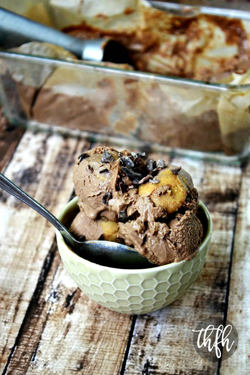 Vegan No-Churn Chocolate Peanut Butter Swirl Ice Cream | The Healthy Family and Home