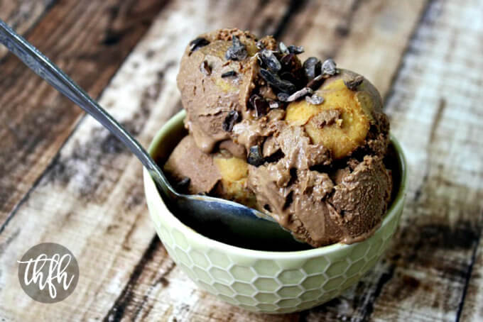 Vegan No-Churn Chocolate Peanut Butter Swirl Ice Cream | The Healthy Family and Home