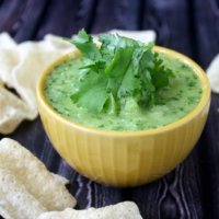 Tomatillo and Jalapeno Dip | The Healthy Family and Home