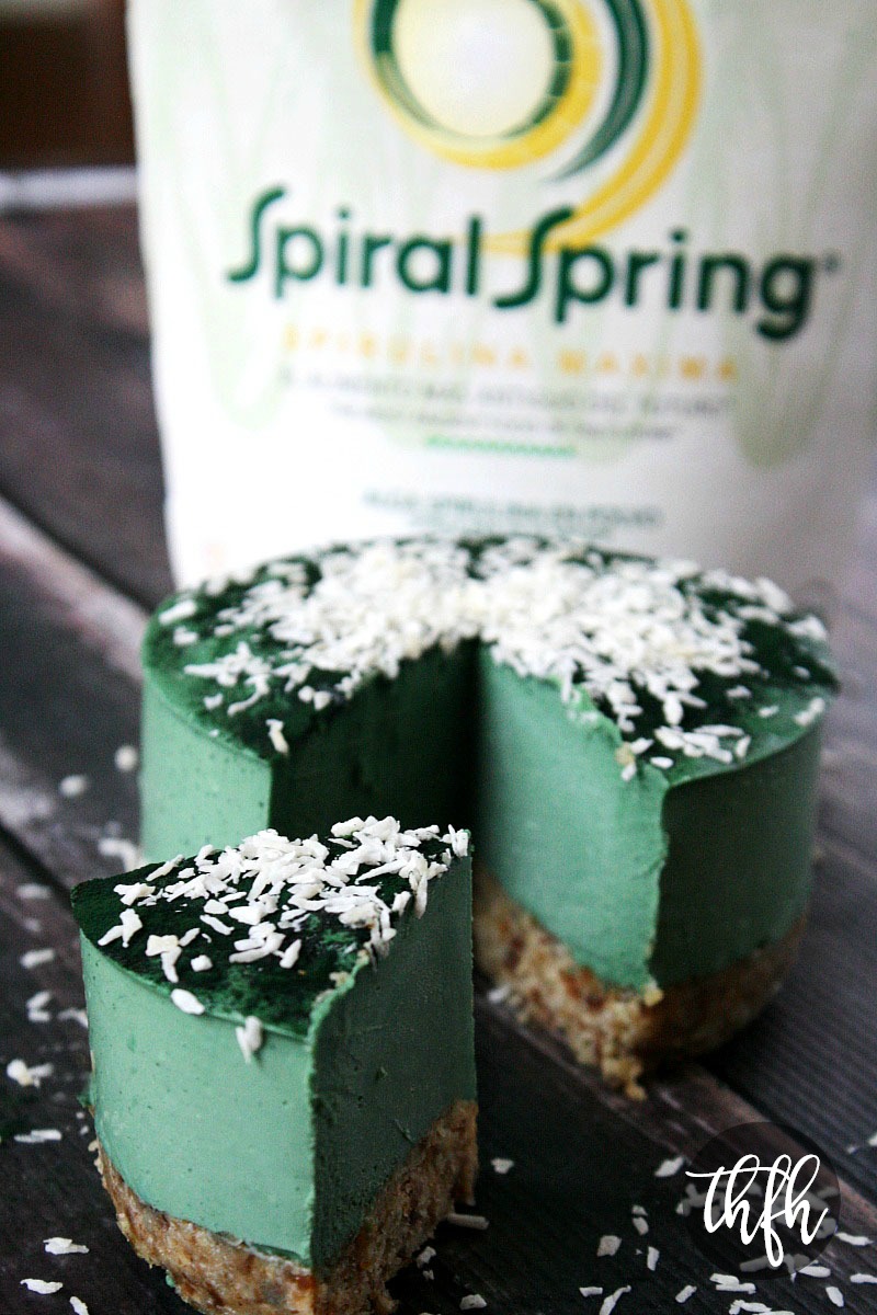 A vertical image showing a large slice cut out of a 6-inch Gluten-Free Vegan Raw No-Bake Spirulina Cheesecake with a bag of Spiral Spring Spirulina in the background Maxima | The Healthy Family and Home