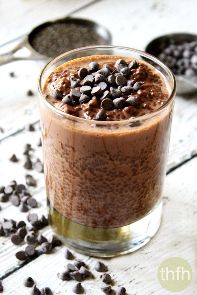 Vegan Chocolate Chip Chia Pudding  The Healthy Family and 