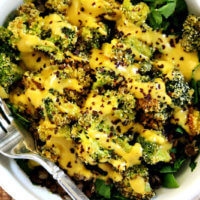 Lentil and Broccoli Bowl with Pumpkin Tahini Dressing | The Healthy Family and Home