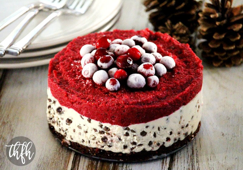 Vegan No-Bake Chocolate Chip Cranberry Cheesecake | The Healthy Family and Home