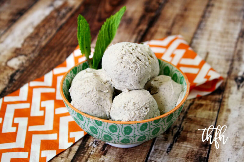 Gluten-Free Vegan Vanilla Bean Ice Cream | The Healthy Family and Home