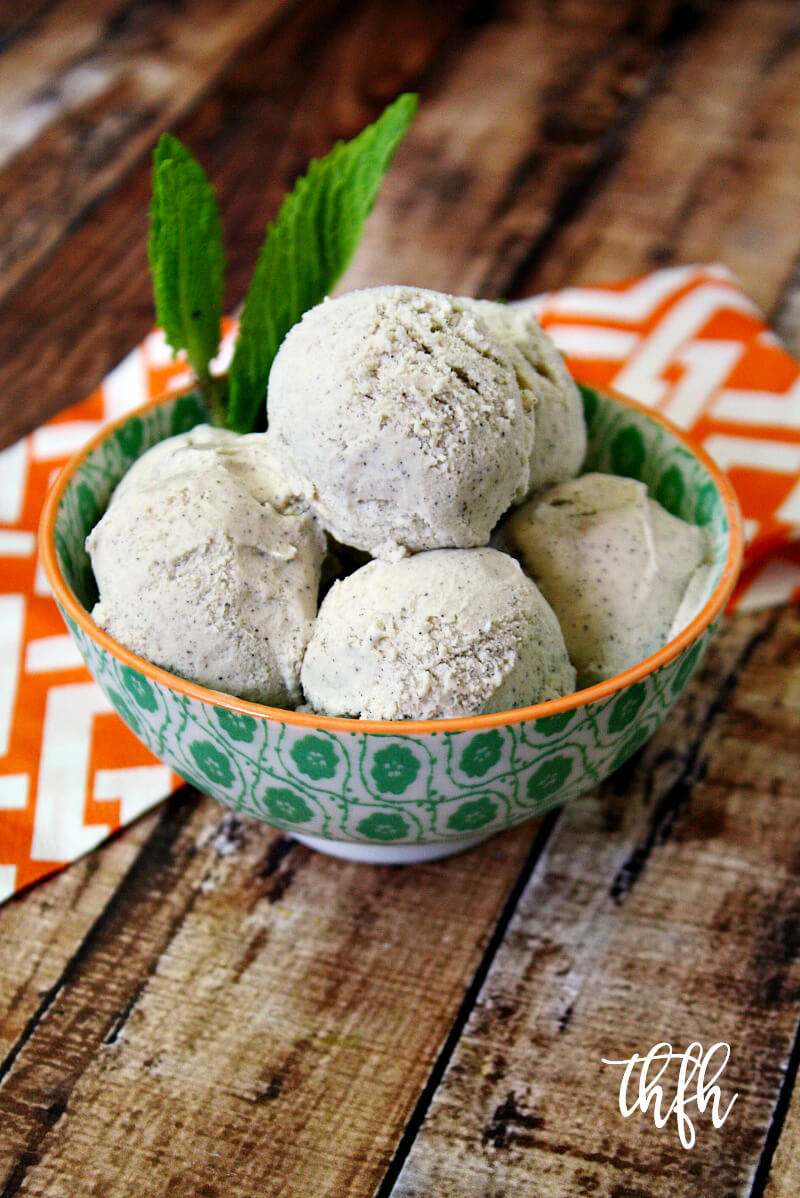 Gluten-Free Vegan Vanilla Bean Ice Cream | The Healthy Family and Home