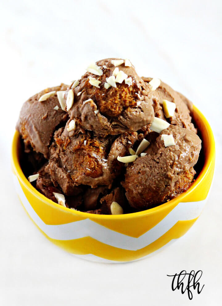 Lectin-Free Vegan Chocolate Avocado Ice Cream with Almond Butter Swirl | The Healthy Family and Home