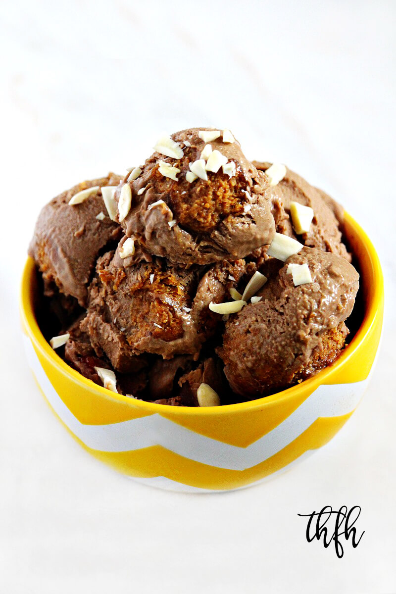 Lectin-Free Vegan Chocolate Avocado Ice Cream with Almond Butter Swirl | The Healthy Family and Home