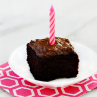 Gluten-Free Vegan Avocado Oil Chocolate Cake | The Healthy Family and Home