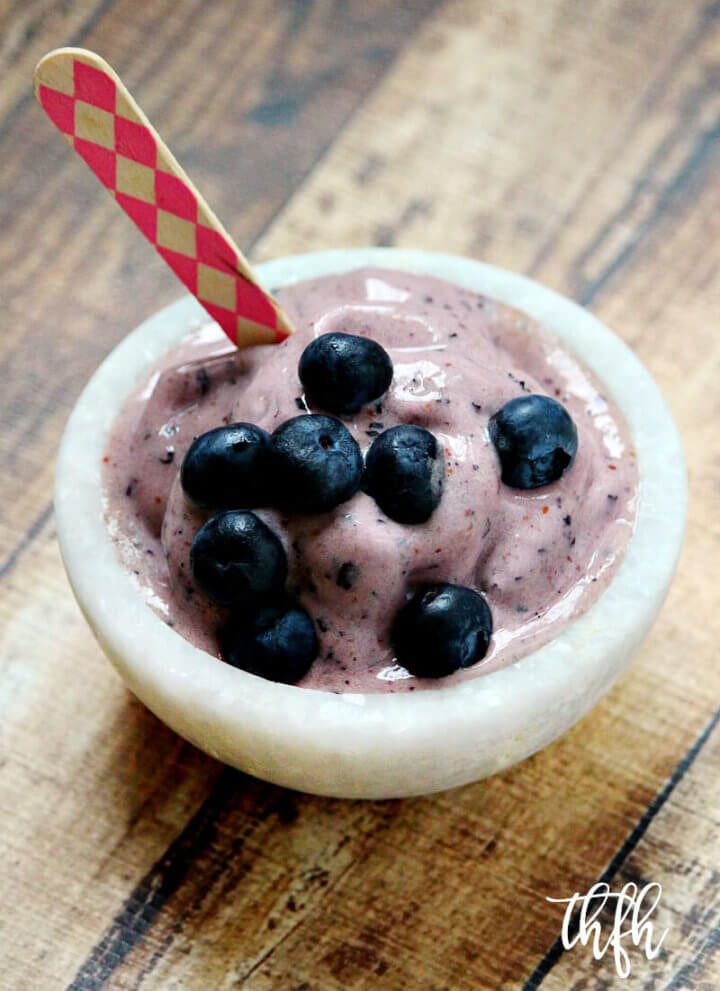 Gluten-Free Vegan Blueberry "Nice" Cream | The Healthy Family and Home
