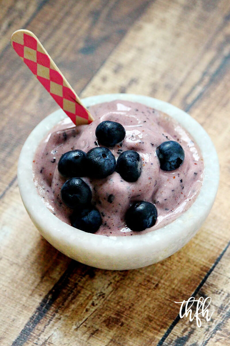 Gluten-Free Vegan Blueberry "Nice" Cream | The Healthy Family and Home