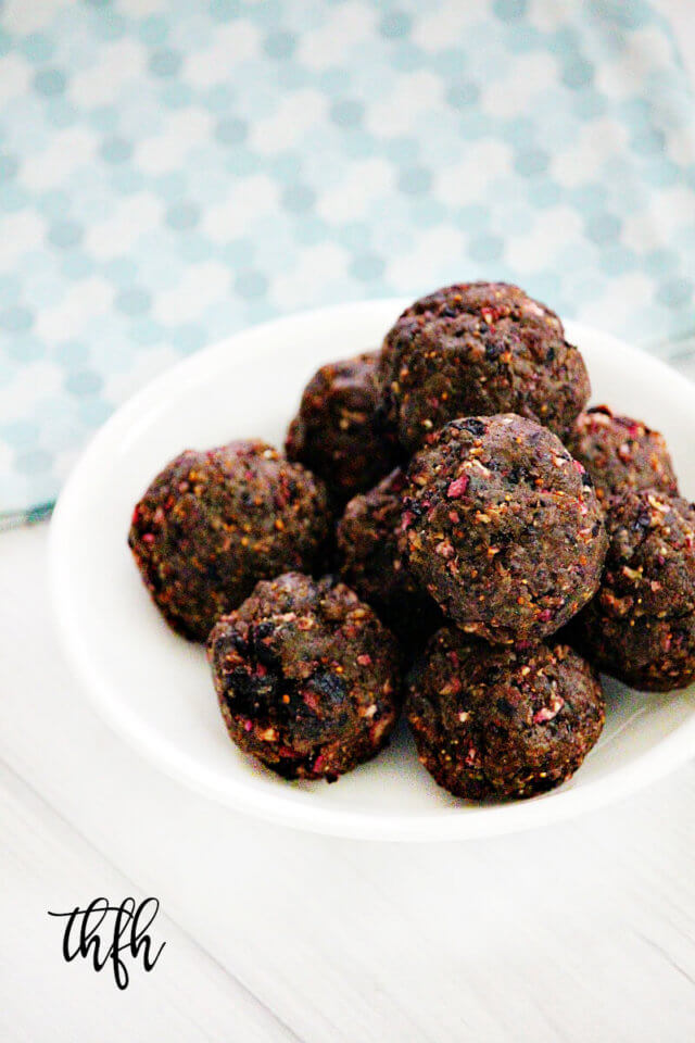 Vegan Dried Blueberry Protein Energy Balls