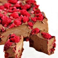 Lectin-Free Vegan Raspberry and Chocolate Ice Cream Squares | The Healthy Family and Home