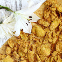 Gluten-Free Vegan Oven Baked "Fried" Artichokes | The Healthy Family and Home