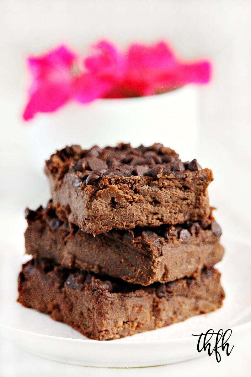 Gluten-Free Vegan Flourless Chickpea Brownie Fudge | The Healthy Family and Home