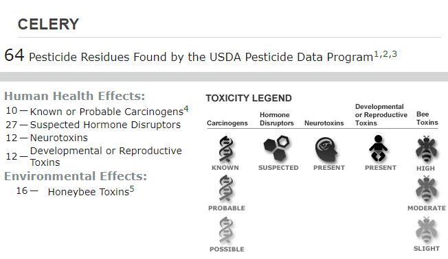 Graphic showing 64 possible pesticides on non-organic celery