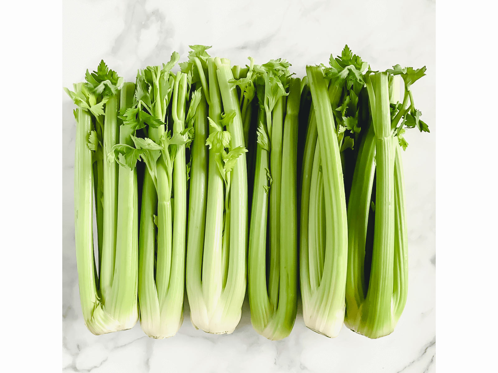 Horizontal image of organic raw celery on a white marble surface