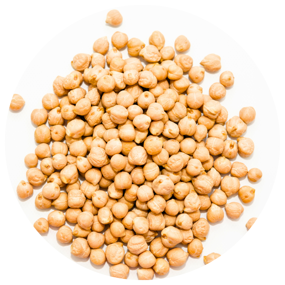 Circle overhead image of scattered chickpeas on a white surface.